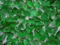 Preview: Glass Gravel dark green 5-10 mm | 20 Kg | Glass Chippings